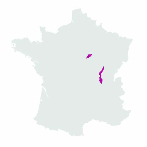 Bourgogne