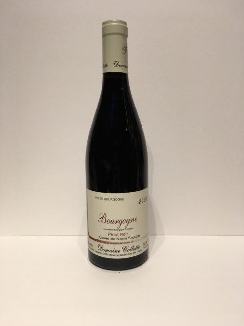 Bourgogne – Philippe Collotte « Pinot Noir »