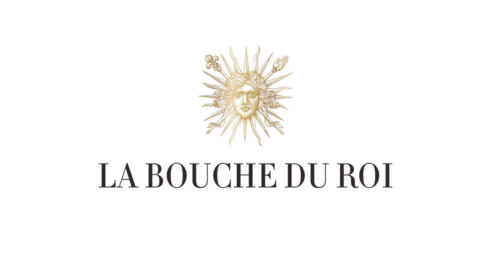 logo bouche du roi