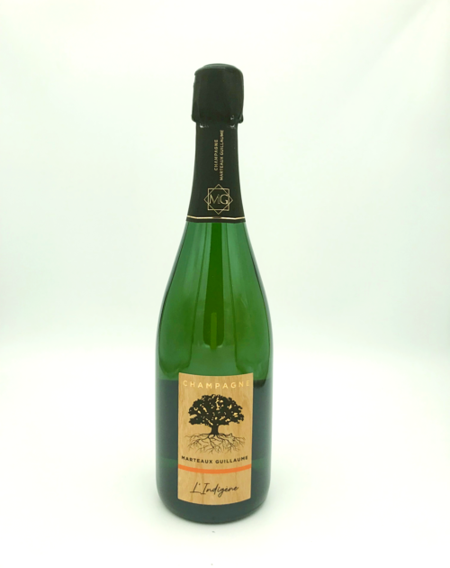 Jacquesson – Dizy Terres Rouges Magnum