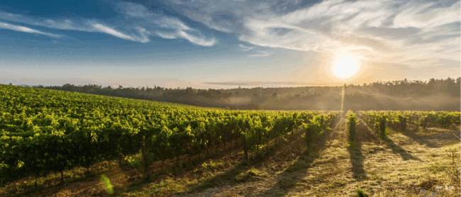 background-newsletter