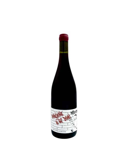 Beaujolais - Chasselay - Beaujolais Village "Beaujolais is not dead" 2023