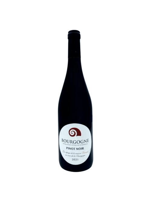 Julien Brocard - Pinot noir 2021