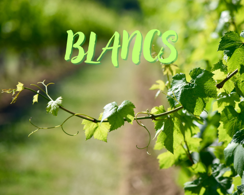 Les Blancs
